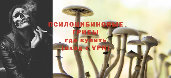 ALPHA-PVP Ельня