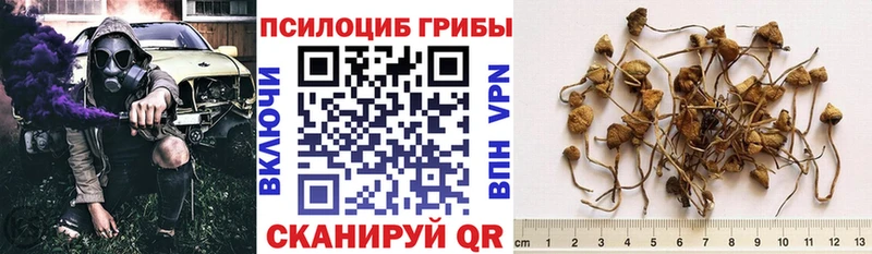 Галлюциногенные грибы Psilocybine cubensis Купить где Ливны